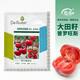 壽禾 普羅旺斯西紅柿種子水果番茄口感型大果粉果秋冬季蔬菜菜籽種籽 普羅旺斯種子1千粒原裝