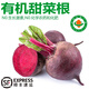 諸氏橙品【有機(jī)】甜菜根 現(xiàn)挖紅菜頭紫甜菜 榨汁沙拉食材云南新鮮蔬菜整箱 【有機(jī)紅甜菜】 2.5KG家庭實(shí)惠裝