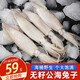 鮮隨漁動(dòng)海兔子新鮮筆管魚(yú)鮮活冷凍海鮮鮮凍籽烏整箱小魷魚(yú)八爪魚(yú)水產(chǎn)