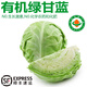 諸氏橙品【有機(jī)】綠甘藍(lán) 新鮮蔬菜包菜卷心菜圓白菜 涼拌沙拉食材有機(jī)蔬菜 （3份*500g/份）涼拌伴侶