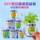 Touch Fish 罐裝小盆栽桌面種植易拉罐頭植物小學(xué)生科學(xué)實驗禮物獎品 好運爆棚（幸運草）