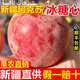 玫梔新疆阿克蘇冰糖心蘋果水果新鮮當(dāng)季正宗直發(fā)丑甜大整箱 9斤 80mm(含)-85mm(不含)