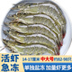 沃鮮匯蝦 厄瓜多爾白蝦 生鮮蝦類  鹽凍蝦水凍蝦 凈重1.65KG 中大號50-60規(guī)格 約82-98只鹽凍