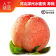 獨(dú)愛(ài)（DUAR）河北深州水蜜桃現(xiàn)摘桃子大果單果8兩8個(gè)壽桃毛桃