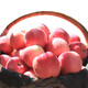 紅六福（REDLEOFU）【靜寧蘋果】紅六福 甘肅靜寧蘋果生鮮特產(chǎn)紅富士水果 24枚80#單果約240~300g