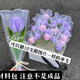 QUEENJOY新款diy扭扭棒花束郁金香花材料包手工編織情人節七夕教師節禮物 紫色材料包可做10朵網(wǎng)紗款