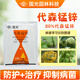 國光80%代森錳鋅果樹苗木花卉月季蔬菜葡萄葉斑白粉病農(nóng)藥殺菌劑200g