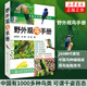 野外觀鳥手冊(cè) 鳥類觀察手冊(cè) 觀鳥指南用書 鳥類生態(tài)大圖鑒 鳥類百科全書