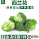 千牛優(yōu)福西蘭花500g 小顆西蘭花朵新鮮脆嫩青花菜綠花菜西藍花椰菜 農(nóng)家菜