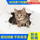 好運鯊汽車(chē)貼紙3D立體車(chē)貼小貓遮劃痕貓咪遮擋修復車(chē)尾刮痕個(gè)性貼畫(huà)裝飾 3D貓貼--（車(chē)身18cm）