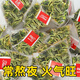 蓮子心茶蓮子芯養(yǎng)生肝茶蓮子心中藥干貨熬夜養(yǎng)生泡水泡茶原材料蓮子心茶的功效野外生精選品質(zhì) 【1袋裝2g*20袋】無硫熏蓮子心茶