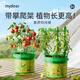 彌鹿（MiDeer）植物攀爬桶兒童植物種植生長(cháng)觀(guān)察盒科學(xué)實(shí)驗萬(wàn)物生長(cháng)-攀爬噸噸桶