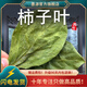 墨源柿子葉500g柿子葉茶中藥材柿葉霜后柿子樹(shù)葉新鮮干貨可打柿子葉粉 柿子葉500克【新貨】