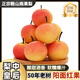 璽秧遼寧鞍山【南果梨】東北特產(chǎn)南國梨送禮水果禮盒孕婦酸甜中秋 甄選【陽(yáng)面紅果】?jì)糁?.5斤+ 手挑大果約24枚(單果約90g）超濃郁