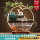 桔梗謠流水?dāng)[件辦公室客廳裝飾家居桌面招財(cái)喬遷禮品搬家開業(yè)禮物循環(huán)水 水簾洞天-流水魚缸（半圓形）