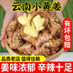 志褚正宗云南小黃姜新鮮姜現(xiàn)挖姜生沙地黃姜月子姜調(diào)味新鮮蔬菜整箱 小黃姜 9斤