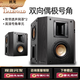 班龍（BALENALD）RX68壁掛音箱家庭影院音響組合家用無源中置環(huán)繞音箱低音炮會議音響設(shè)備 客廳 新X設(shè)計反相偶極