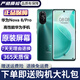 華為nova8 華為nova8pro 二手華為手機(jī) nova8 Pro二手 二手手機(jī) 95新 nova8 綺境森林 8G+128G（贈(zèng)送購機(jī)大禮包）