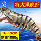 北海灣 高品質(zhì)活凍黑虎蝦 超大蝦類(lèi)大蝦生鮮老虎蝦冰鮮印度海蝦盒裝送禮 16-19cm【高品質(zhì)】 1000g(凈重)