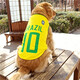 咪貝萌大狗狗衣服中大型犬夏季薄款背心春秋裝金毛薩摩耶拉布拉多哈士奇 黃色10號-巴西隊 6XL-胸圍98CM