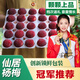 蘇虞仙居高山楊梅新鮮冷凍大東魁浙江禮盒泡酒水果特產(chǎn) 100顆禮盒裝【單果18-23g】