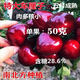 車(chē)厘子樹(shù)苗無(wú)核櫻桃樹(shù)苗正宗大櫻桃樹(shù)苗南方北方種植耐寒當年結果 三年苗【兩顆】栽種明年結果 大果車(chē)厘子包成活包品種包結果肥料