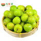 馬保果三月李酸脆小李子青李子當季應季新鮮孕婦水果 精選1斤裝