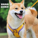 冇寵狗狗牽引繩背心式中小型犬狗繩籃球運動風柴犬泰迪遛狗繩狗胸背帶 黃色 M（胸圍52-64cm）建議15-28斤