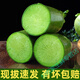 鹿凌青水果蘿卜正宗濰坊綠蘿卜新鮮甜脆維縣蘿卜當(dāng)季蔬菜現(xiàn)挖生吃蘿卜 買5斤加發(fā)1斤(6斤精品果)6斤