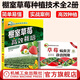 棚室草莓高效栽培+草莓病蟲害診治圖冊 大棚草莓種植病蟲害防治教程 草莓育苗栽培管理栽培新技術(shù) 草莓種植栽培技術(shù)大全書籍