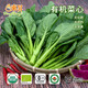 東升農(nóng)場 有機菜心 菜薹 廣東菜薹 火鍋食材廣州供港新鮮蔬菜 300g