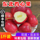 辰實(shí)【發(fā)順豐】東北雞心海棠果 沙果龍豐果 東北特產(chǎn)小蘋(píng)果新鮮 5斤（雞心海棠果）推薦