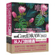 中文版CorelDRAW 2022從入門到精通（微課視頻 全彩版）CDR教程書籍cdr新手入門coreldraw完全自學教程 平面設(shè)計圖形設(shè)計圖像后期排版插圖設(shè)計標志設(shè)計UI/VI設(shè)計