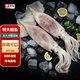海升東新鮮大魷魚 原條冷凍深海烏賊超大鐵板魷魚燒烤火鍋食材海鮮水產(chǎn) 新鮮大魷魚4條 7-8兩/條