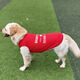 超可耐夏天大型犬狗狗衣服金毛衣服邊牧拉布拉多薩摩耶大狗衣服薄款背心 紅 5XL碼(60斤左右)