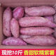 谷真沙地紫薯10斤 新鮮紫羅蘭紫薯紅薯蜜薯紫心地瓜軟糯香甜蔬菜批發(fā) 紫薯 5斤裝 大果