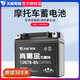 天能電池摩托車電池12v黑金石墨烯電瓶免維護(hù)干電池鈴木王豪爵車通用 【黑金石墨烯】12N7B-BS