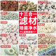 森森 魚(yú)缸過(guò)濾濾材混合套裝十三合一魚(yú)池凈水材料 細菌屋硝化細菌培菌 十三合一濾材500g/4袋適用70~80cm魚(yú)缸
