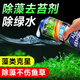 瘋狂水草（FKSC）魚(yú)缸除藻劑1100ml綠藻去苔劑青苔清除劑神器除藻去苔劑魚(yú)缸專(zhuān)用
