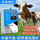 艾文禮畜牧電子圍欄系統(tǒng)全套養(yǎng)殖牛羊豬高壓脈沖主機牧場太陽能電網(wǎng)圍欄 5公里防雷電顯 標配型