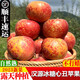 菓靈稥【順豐】正宗四川冰糖心丑蘋(píng)果紅富士新鮮水果漢源蘋(píng)果年貨禮盒 產(chǎn)地直發(fā) 送禮佳品 5斤大果80mm(含)-90mm(不含)