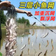 魚汐格 三層小魚網(wǎng)白條網(wǎng)馬口網(wǎng)1指1.5指加重漁網(wǎng)浮網(wǎng)沉網(wǎng)捕魚網(wǎng)粘魚網(wǎng) 三層【浮網(wǎng)】1米高1指50米長