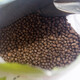 康卿（KANGQING）觀賞魚飼料大魚小魚幼魚成魚糧錦鯉魚金金魚食魚糧中粒小粒上浮型 中粒 500G*1包