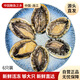 漁發(fā)達(dá)海鮮生鮮活凍特大鮑魚鮮活鮑魚6頭冷凍鮑魚450g