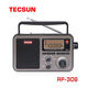 Tecsun/德生RP-309便攜式DSP數(shù)字解調(diào)收音機(jī)/藍(lán)牙音箱/數(shù)碼播放器 標(biāo)配 德生RP-309