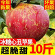 爾蝶山西運(yùn)城冰糖心蘋果新鮮當(dāng)季水果紅富士丑蘋果脆甜整箱時(shí)令水果 9斤裝 精選大果80-85mm凈重8.5斤