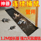 貓?zhí)丶矣脧?qiáng)力粘老鼠毯粘鼠板 老鼠貼捕鼠粘板 滅鼠神器粘鼠膠粘鼠板 3張裝
