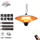 雷仕德朗（ROSTDL） 戶外傘型電暖器吊掛式取暖器小太陽(yáng)家用酒店餐廳室外帳篷吊式烤火爐壁掛取暖爐防水傘形取暖燈 2100W遙控（銀色）