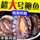 御瀘鮮湘特大號(hào)活凍鮑魚鮮活急凍大鮑魚新鮮冷凍個(gè)大鮑魚海捕超大高端海鮮 超大號(hào)【8-10只/斤】精品裝 3斤【批發(fā)裝】