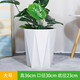 慕景瓷業(yè)簡(jiǎn)約陶瓷花盆落地特大號(hào)口徑30以上客廳陽臺(tái)家用花卉綠植高款 八方低腰純白大號(hào)+七件套